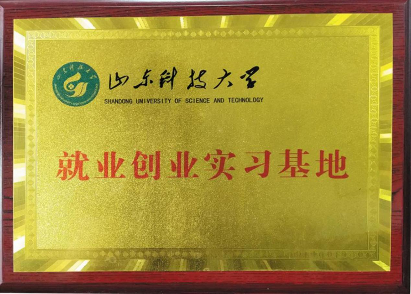 山東科技大學就業創業實習基地